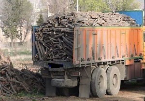 بیش از ۱۵ تن چوب قاچاق در بوکان کشف شد