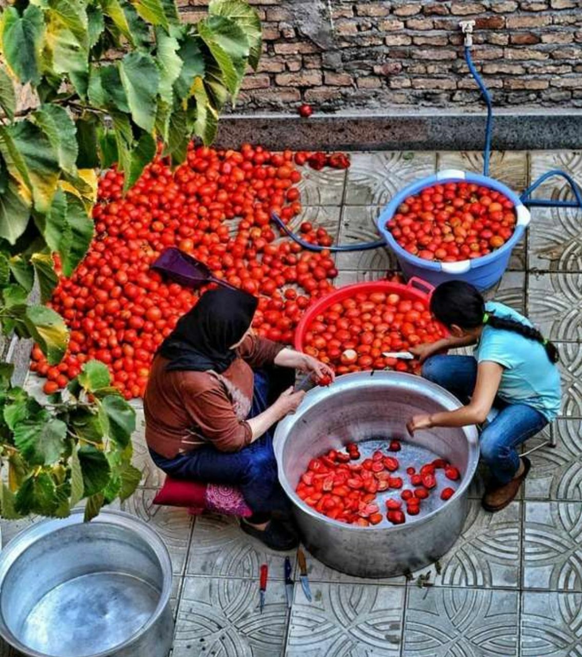 پخت خانگی رب گوجه فرنگی، سنت قدیمی ایرانی ها