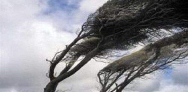 هشدار هواشناسی نسبت به ورزش باد شدید در جنوب آذربایجان غربی