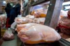 جهادکشاورزی: رکورد توزیع مرغ در آذربایجان غربی شکست/ دلالان همچنان فعال اند!