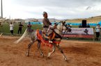 برگزاری دومین جشنواره اسب اصیل کُرد در بوکان به روایت تصویر